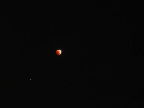 Lunar Eclipse 02-20-2008 026.jpg